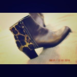Leopard Stuart Weitzman